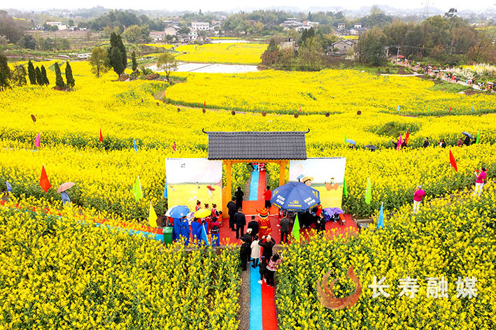 盐井村第二届油菜花节开幕。