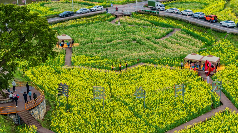 Citizens enjoying flower-field hotpots