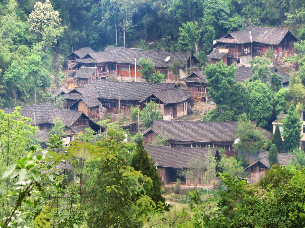 苍岭镇苍岭村