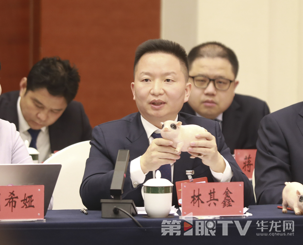 全國人大代表林其鑫。第1眼TV-華龍網特派記者 李文科 攝