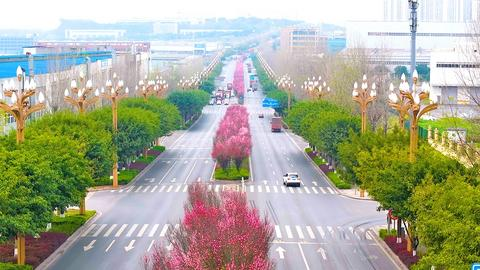 繁花