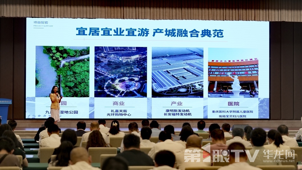 项目推介。第1眼TV-华龙网记者 陈洋 摄