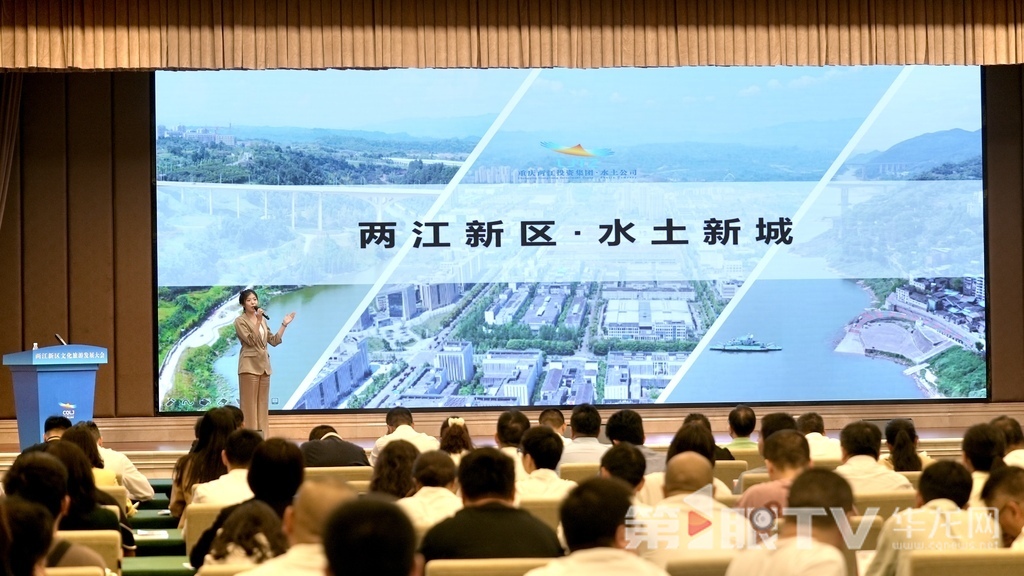 项目推介。第1眼TV-华龙网记者 陈洋 摄