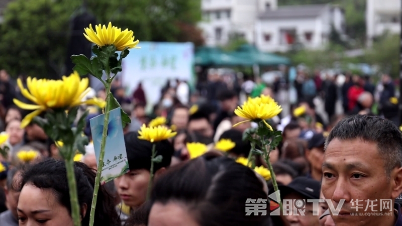 緬懷紀念活動現場,一份份深刻的追思與懷念。第1眼TV-華龍網記者 羅盛杰 攝