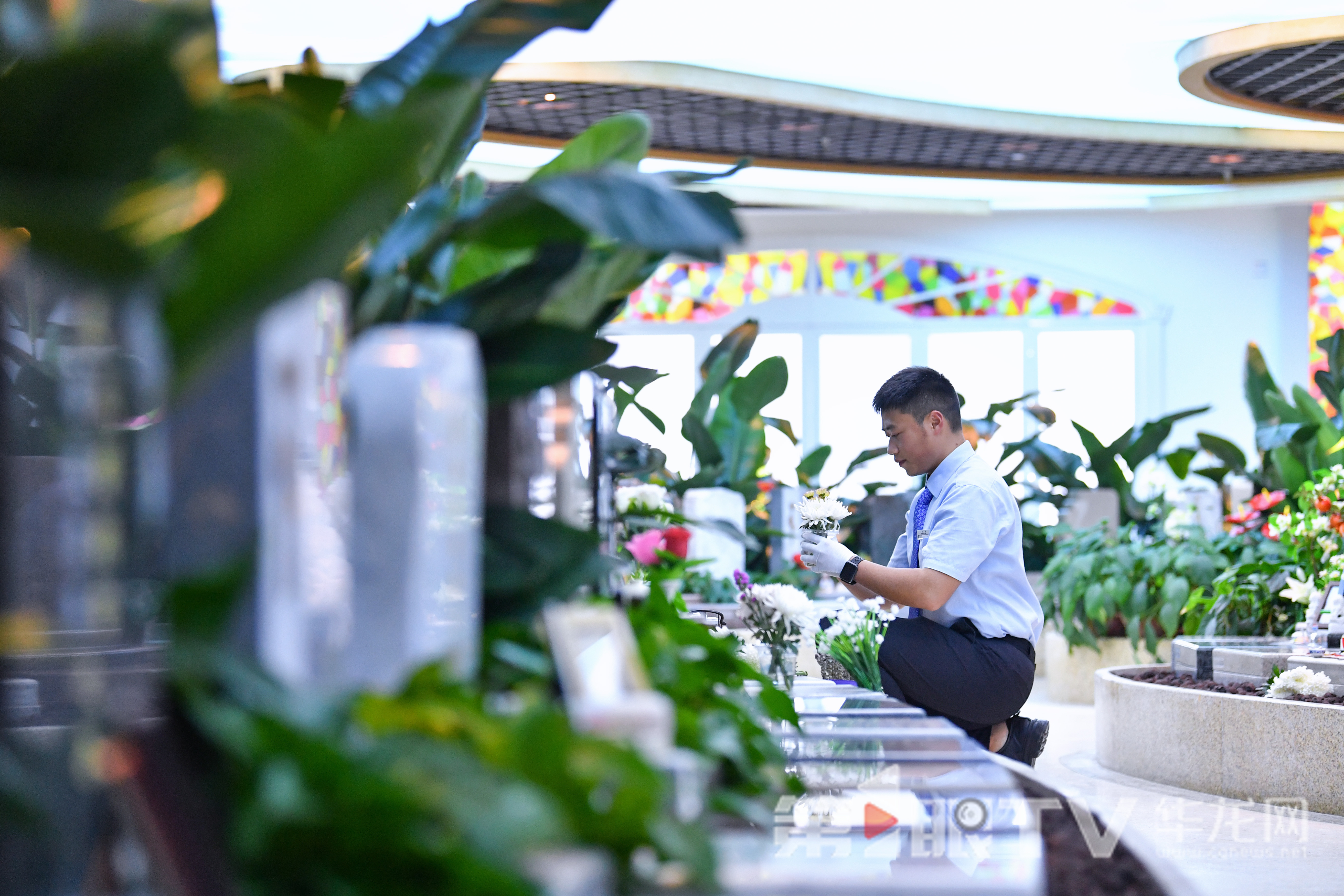 劉華俊進行代客祭掃,為逝者送上鮮花。第1眼TV-華龍網記者 李一鳴 攝