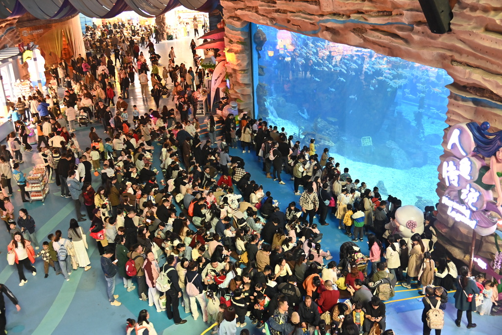 Visitors watching mermaid performance