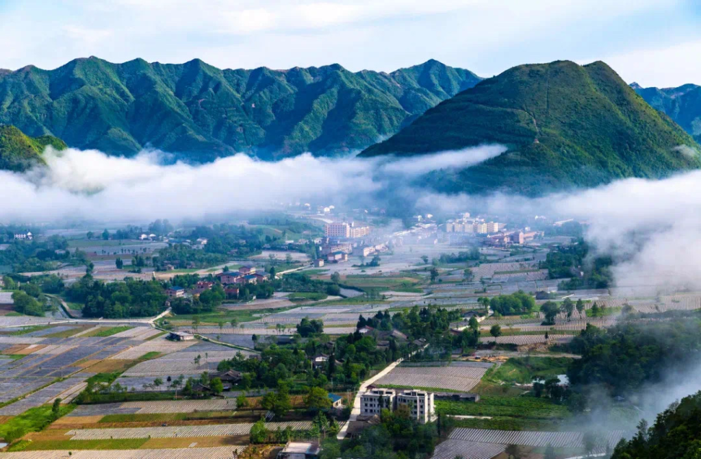 丰都雪玉山。重庆市文化旅游委供图