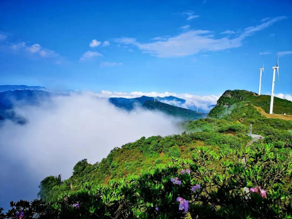 武隆赵云山。重庆市文化旅游委供图