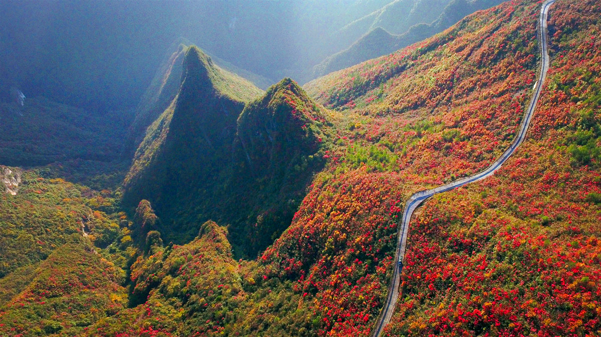 站立山巅，一览众山红于眼底，漫山的红叶犹如丛丛火焰，给人清新爽朗心旷神怡之感。通讯员 王强 摄