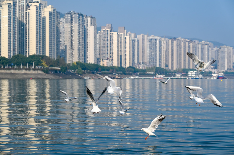 The stunning natural scenery of the beautiful city (Photo provided by Chongqing Three Gorges Converged Media) 