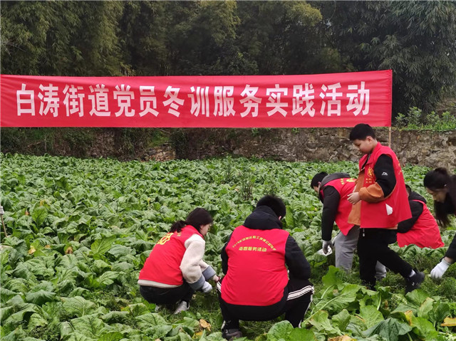 实践活动现场。涪陵区白涛街道供图