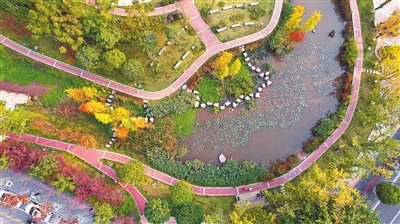 窝子溪湿地公园,秋意正浓,美景如画。记者 向成国 摄