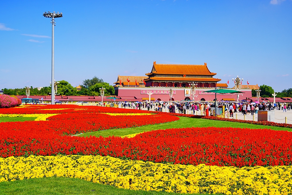 VCG111520012281