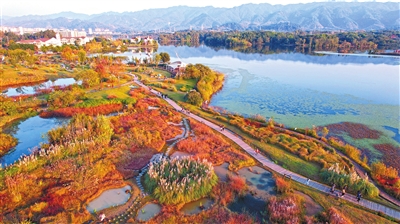双桂湖国家湿地公园梁山草甸,芦苇随风荡漾,市民在欣赏湿地风光。记者 向成国 摄