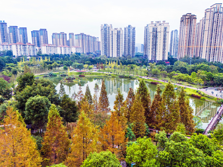 心湖公園，呈現(xiàn)出一派秋意盎然的景象。全媒體記者 鐘戈 攝