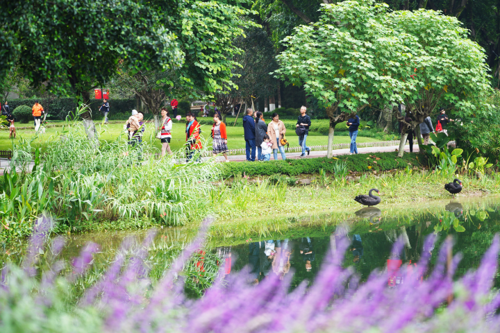 大渡口公園，市民暢享秋日時光。全媒體記者 鐘戈 攝