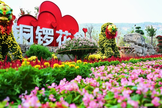 The beautiful Tongluo Flower Valley (Photographed by Guo Xu)