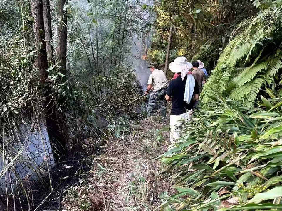 村级综合应急救援站队员及时处置林区火灾。铜梁区应急管理局供图 华龙网发