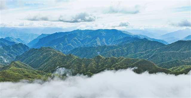 On October 13, cloud waterfalls and green mountains formed a stunning natural landscape in Daba Mountain National Nature Reserve, located in Chengkou County