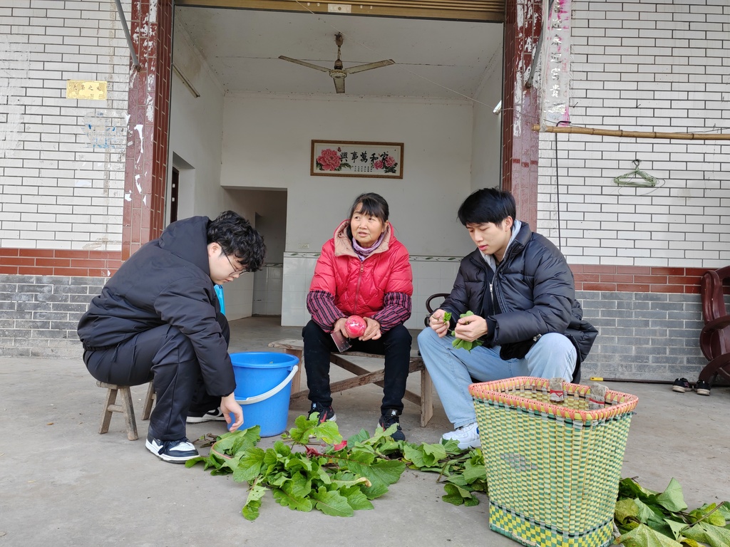 冯泽秀和两个侄儿一起做农活。