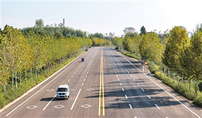 一环路梁山街道段，车辆行驶在宽阔的公路上，与道路两旁泛黄的梧桐树形成一道靓丽风景线。 记者 熊伟 摄