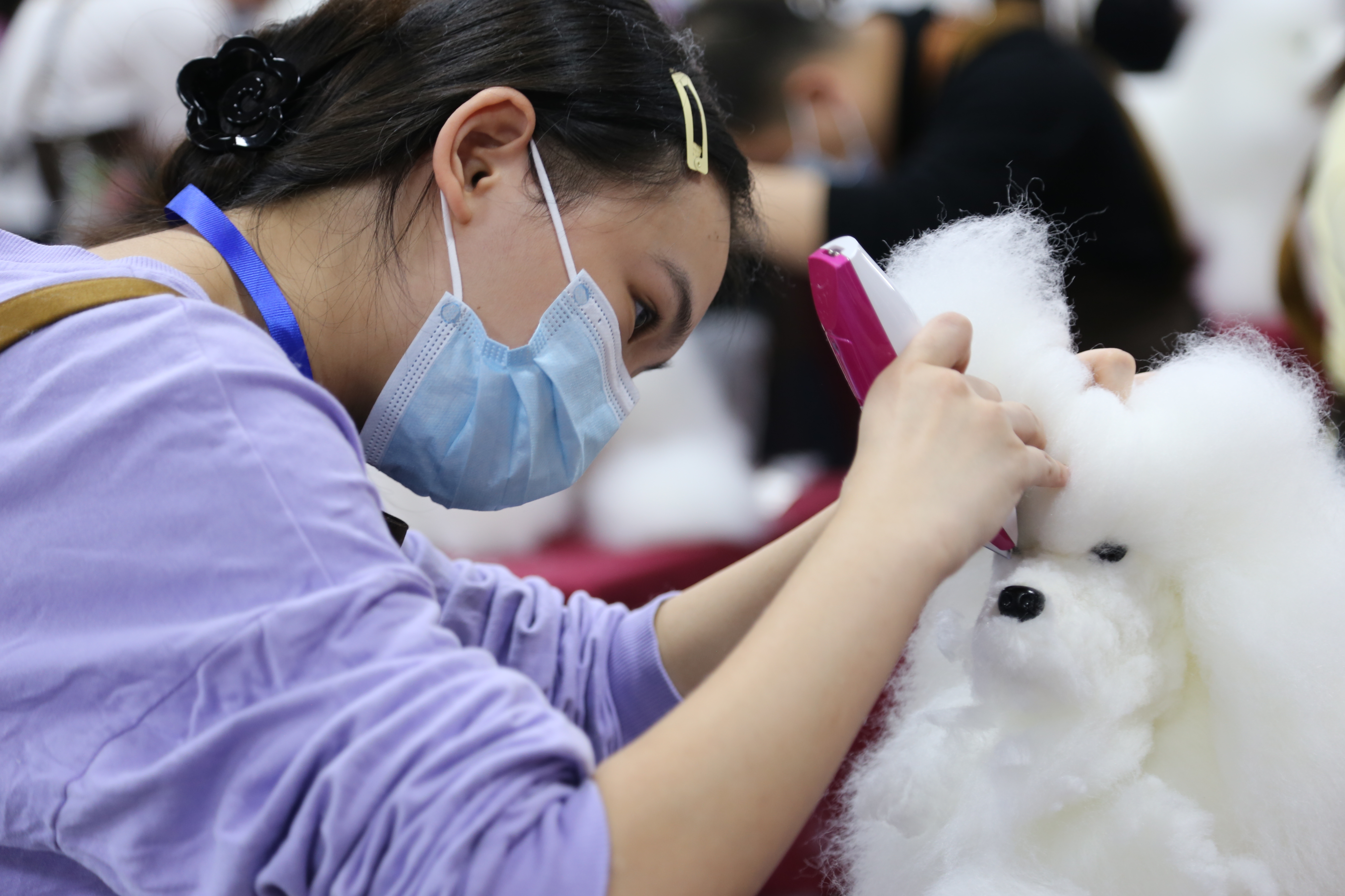 宠物美容师比赛现场。主办方供图