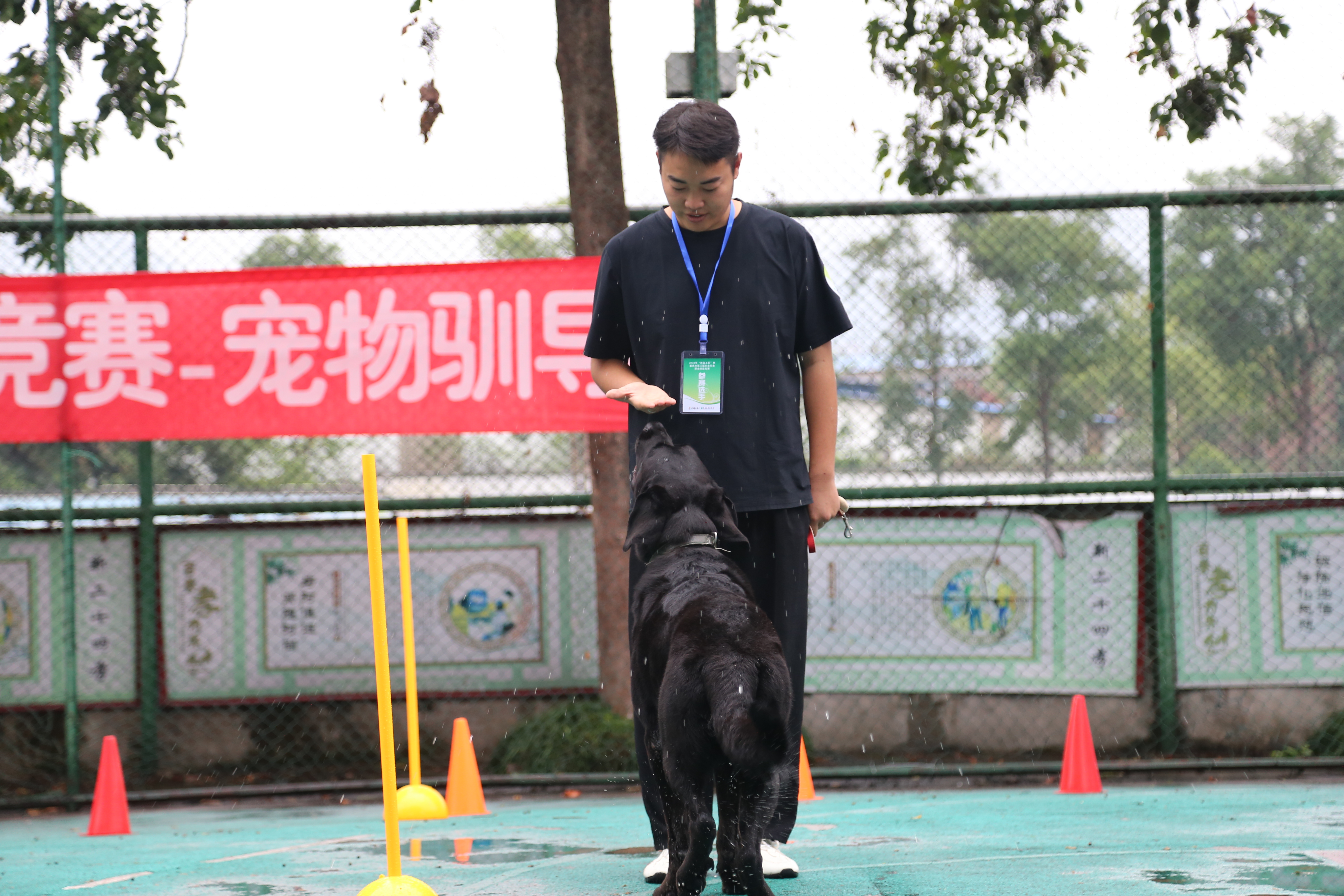 宠物驯导师比赛现场。主办方供图