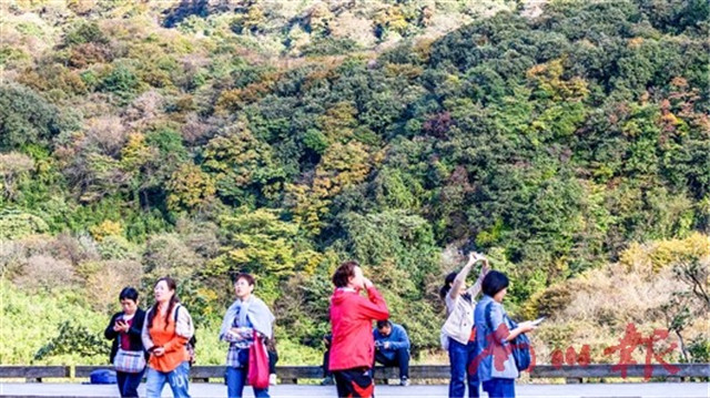 游客在金佛山景区欣赏彩林美景。瞿明斌 摄