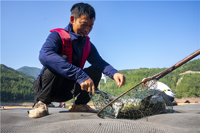 云陽(yáng)清水湖有豐富的魚(yú)類(lèi)資源。主辦方供圖