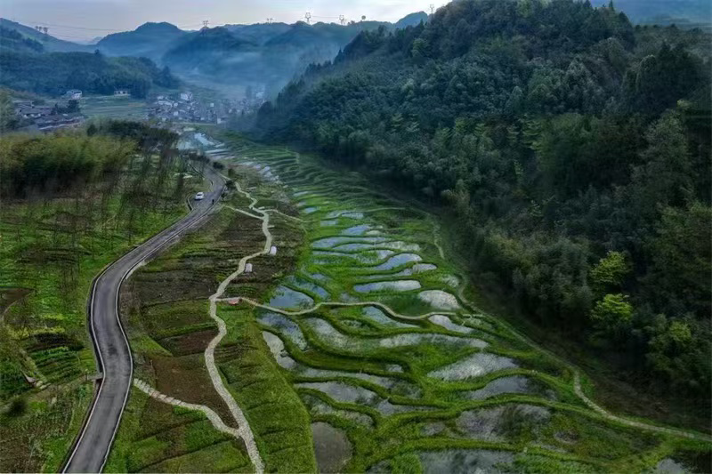 梁平小微濕地。梁平區(qū)委宣傳部供圖 華龍網(wǎng)發(fā)