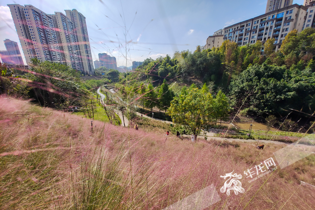 The park’s hillside is awash with layers of pink