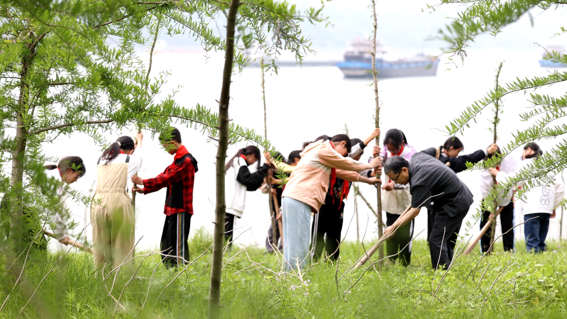 王翔与学生一起种植中山杉。万州区人民法院供图