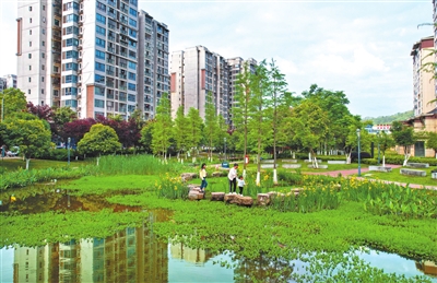 雙桂街道窩子溪濕地公園生機(jī)盎然，市民在如畫風(fēng)景里游玩。資料圖