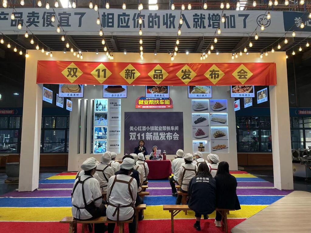 發布會現場。受訪者供圖