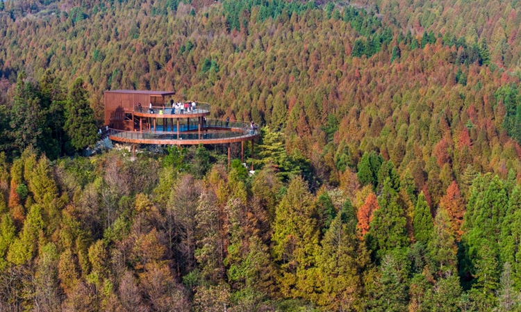 游客欣赏山王坪绚烂景色。甘昊旻 摄 摄