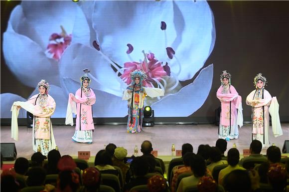 京剧《梨花颂》节目演出现场。陈鑫 摄