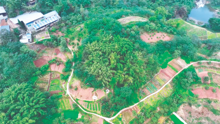 鳥瞰明代墓葬群全景。