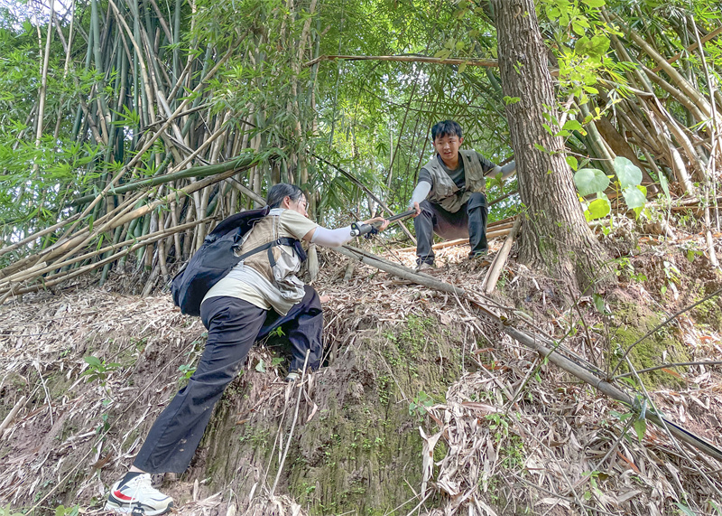 3-不畏艰难攀险峰