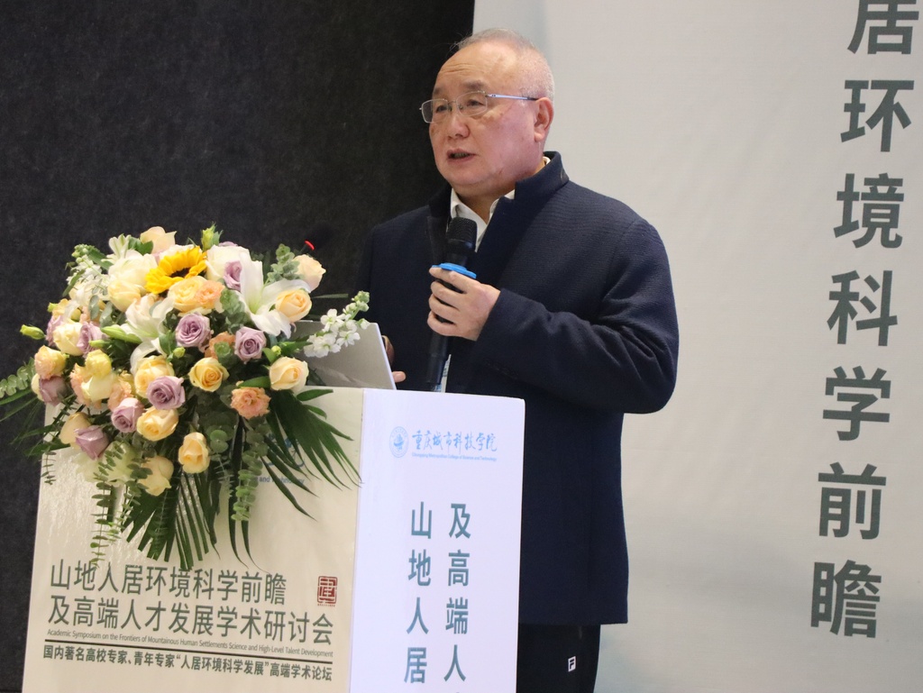 重庆城市科技学院建筑与土木学院院长赵万民现场发言。受访单位供图