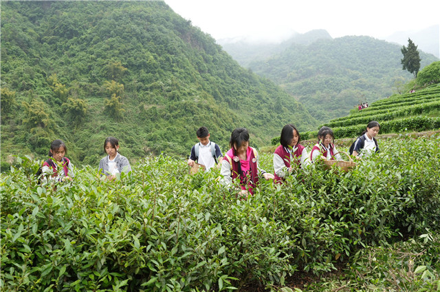 思政體驗課。 巫山縣融媒體中心