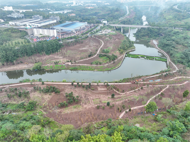 涞滩河水环境生态修复工程施工现场。涪陵区融媒体中心记者 汪媛颖 摄