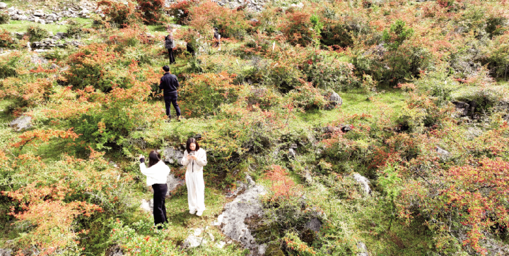 Visitors took photos on the Xueyu Mountain