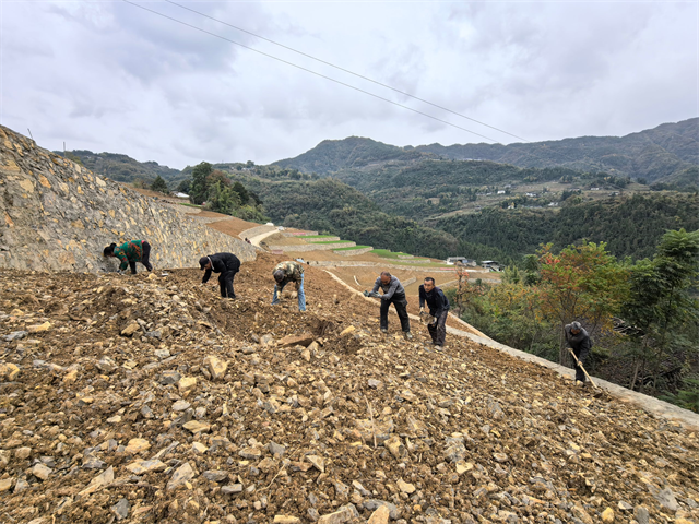 40萬(wàn)畝高標(biāo)準(zhǔn)農(nóng)田建成。 巫山縣融媒體中心供圖