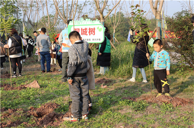 活動參與者種下“雙城樹”。榮昌區(qū)林業(yè)局供圖