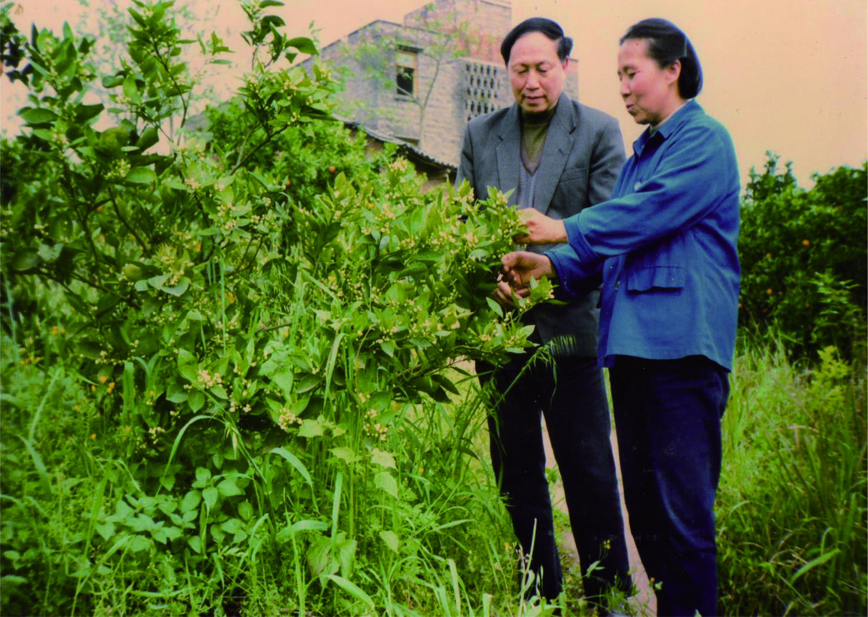 岳龙芳（资料图）。垫江县委宣传部供图