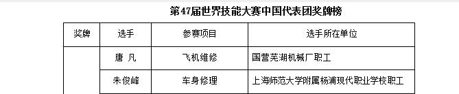 重庆工商职业学院数字媒体技术国家级职业教育教师教学创新团队建设成果-世界技能大赛获金牌_页面_1_图像_0002