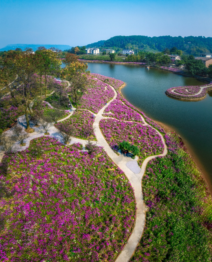 巴南区二圣镇天坪山云林天乡景区。