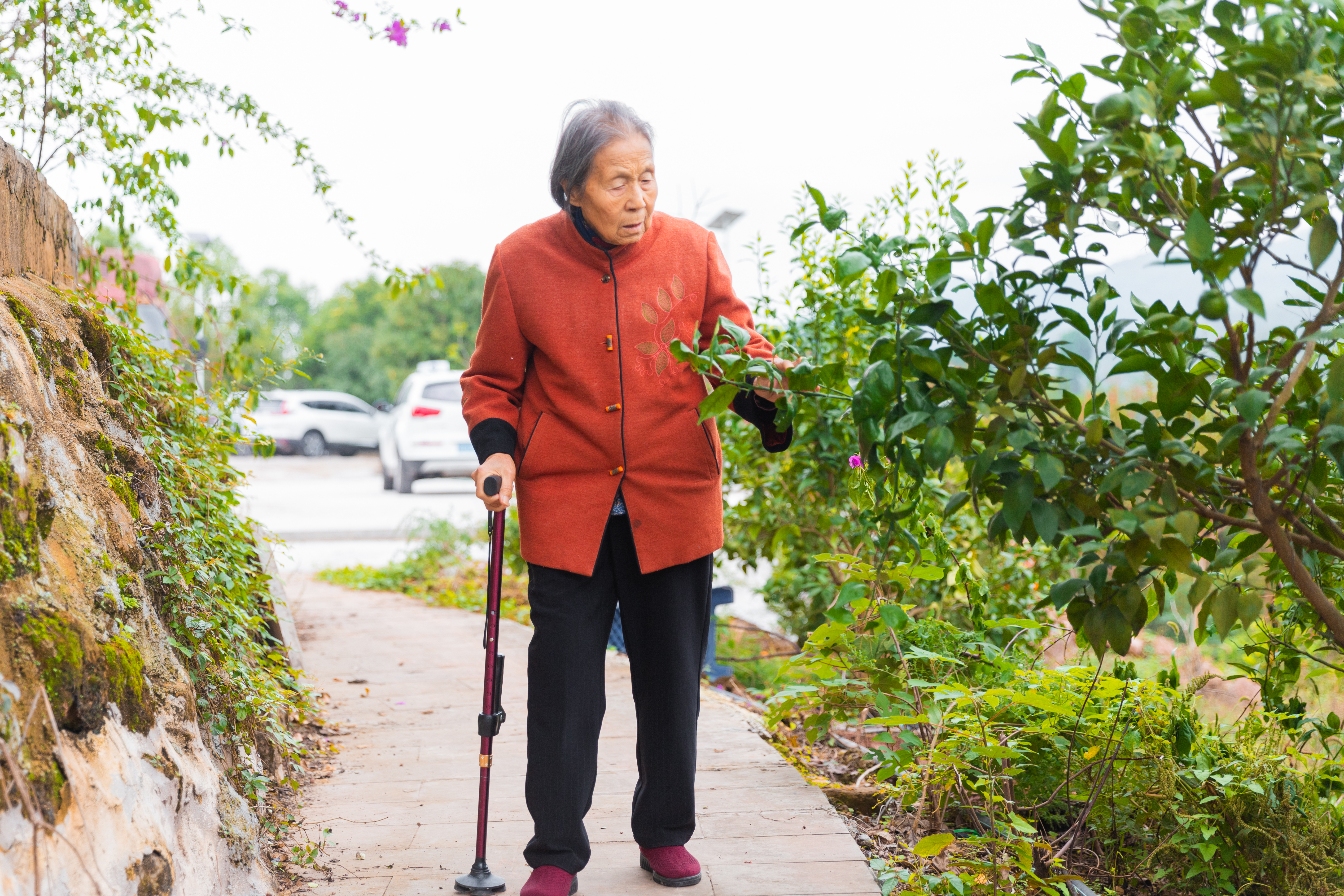 岳龙芳。通讯员 魏瑞 摄