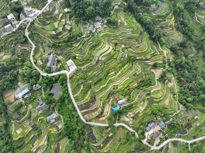 圣燈山鎮(zhèn)夏日田園風(fēng)景如畫。資料圖