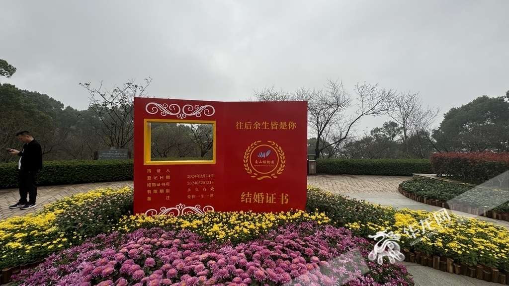 The special instagrammable spot set up in the chrysanthemum exhibition area